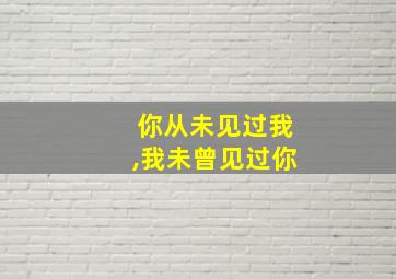 你从未见过我,我未曾见过你