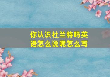 你认识杜兰特吗英语怎么说呢怎么写