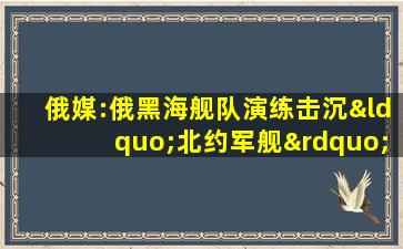 俄媒:俄黑海舰队演练击沉“北约军舰”