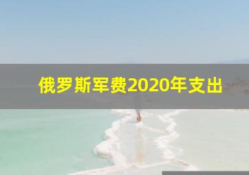 俄罗斯军费2020年支出