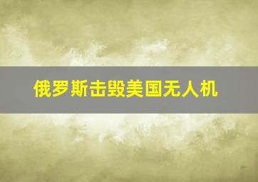 俄罗斯击毁美国无人机