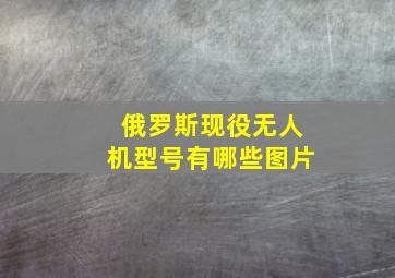 俄罗斯现役无人机型号有哪些图片