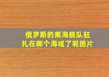 俄罗斯的黑海舰队驻扎在哪个海域了呢图片