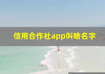 信用合作社app叫啥名字