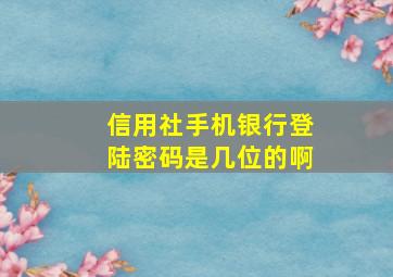 信用社手机银行登陆密码是几位的啊