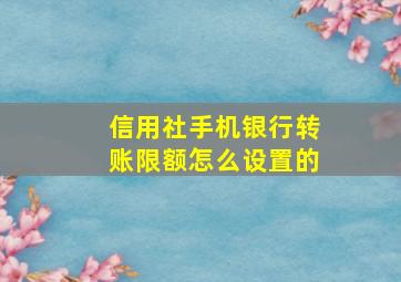 信用社手机银行转账限额怎么设置的