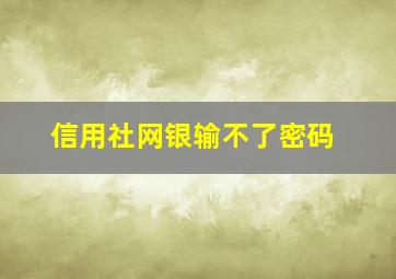 信用社网银输不了密码