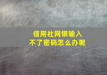 信用社网银输入不了密码怎么办呢