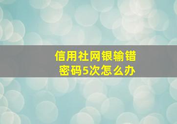 信用社网银输错密码5次怎么办