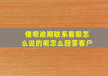 借呗逾期联系客服怎么说的呢怎么回答客户