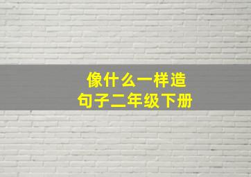 像什么一样造句子二年级下册