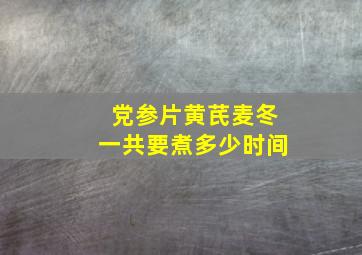 党参片黄芪麦冬一共要煮多少时间