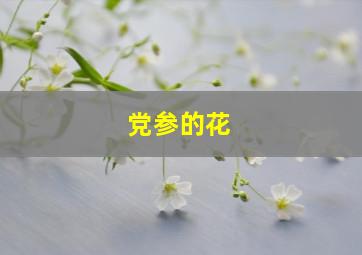 党参的花