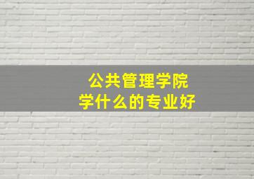 公共管理学院学什么的专业好