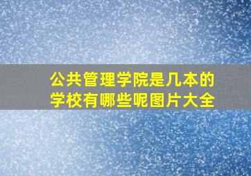 公共管理学院是几本的学校有哪些呢图片大全