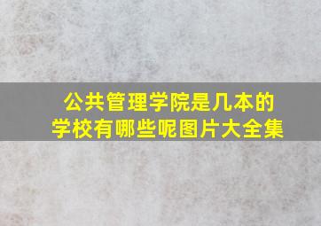 公共管理学院是几本的学校有哪些呢图片大全集