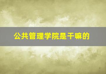 公共管理学院是干嘛的