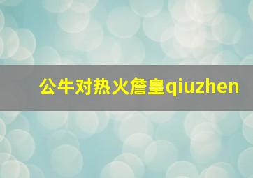 公牛对热火詹皇qiuzhen