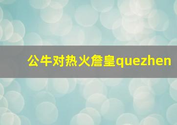 公牛对热火詹皇quezhen