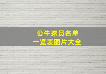 公牛球员名单一览表图片大全