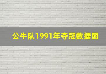 公牛队1991年夺冠数据图