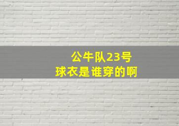 公牛队23号球衣是谁穿的啊