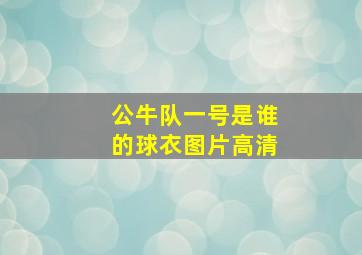 公牛队一号是谁的球衣图片高清