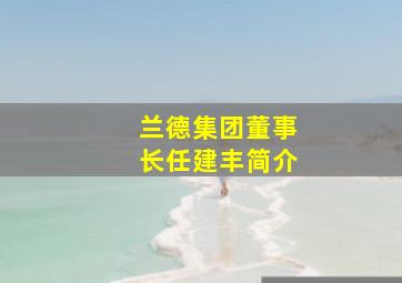 兰德集团董事长任建丰简介