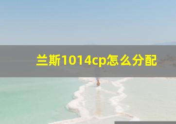 兰斯1014cp怎么分配