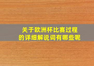 关于欧洲杯比赛过程的详细解说词有哪些呢