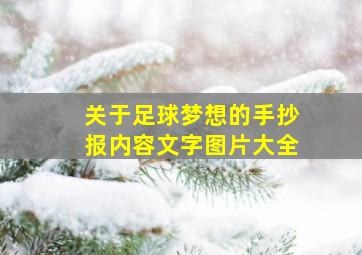 关于足球梦想的手抄报内容文字图片大全