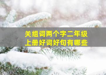 关组词两个字二年级上册好词好句有哪些