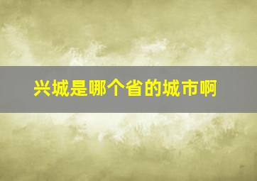 兴城是哪个省的城市啊