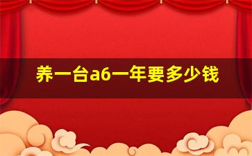 养一台a6一年要多少钱