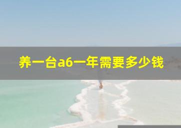 养一台a6一年需要多少钱