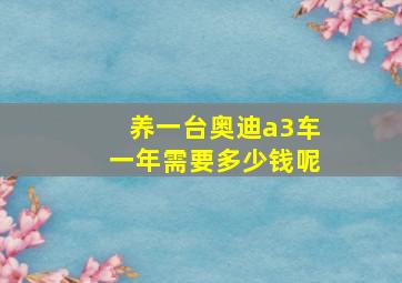 养一台奥迪a3车一年需要多少钱呢