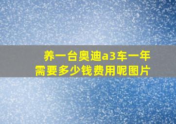 养一台奥迪a3车一年需要多少钱费用呢图片