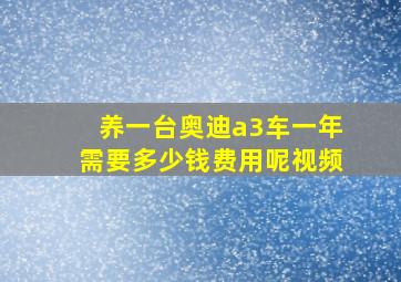 养一台奥迪a3车一年需要多少钱费用呢视频