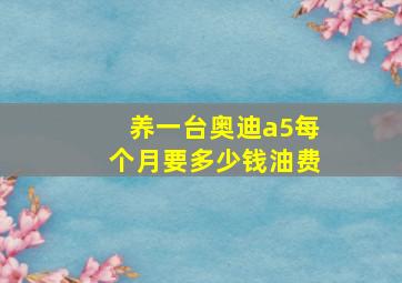 养一台奥迪a5每个月要多少钱油费