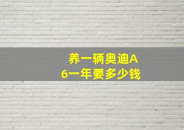 养一辆奥迪A6一年要多少钱