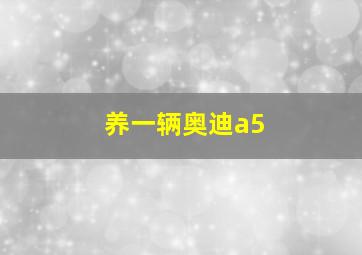 养一辆奥迪a5