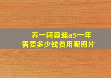 养一辆奥迪a5一年需要多少钱费用呢图片