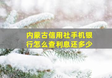 内蒙古信用社手机银行怎么查利息还多少