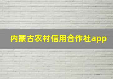 内蒙古农村信用合作社app