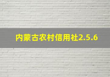 内蒙古农村信用社2.5.6