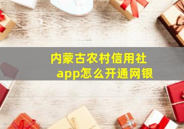 内蒙古农村信用社app怎么开通网银