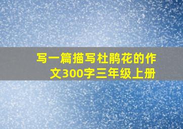 写一篇描写杜鹃花的作文300字三年级上册