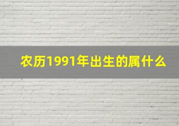 农历1991年出生的属什么