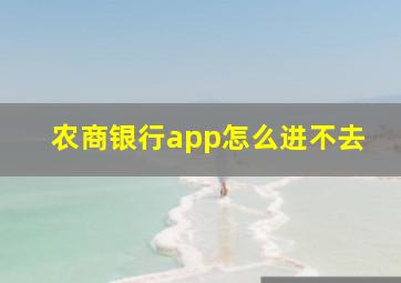 农商银行app怎么进不去