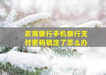 农商银行手机银行支付密码锁定了怎么办